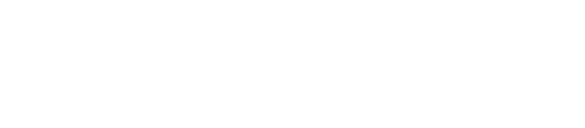 VSBfonds